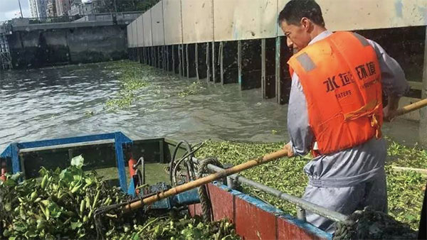 江西贛州河面水葫蘆打撈及水面垃圾清運(yùn)服務(wù)保潔項(xiàng)目